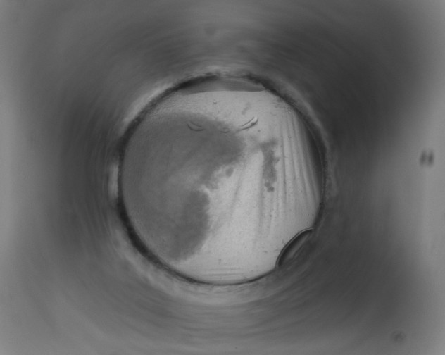 X0000112760019200909171300