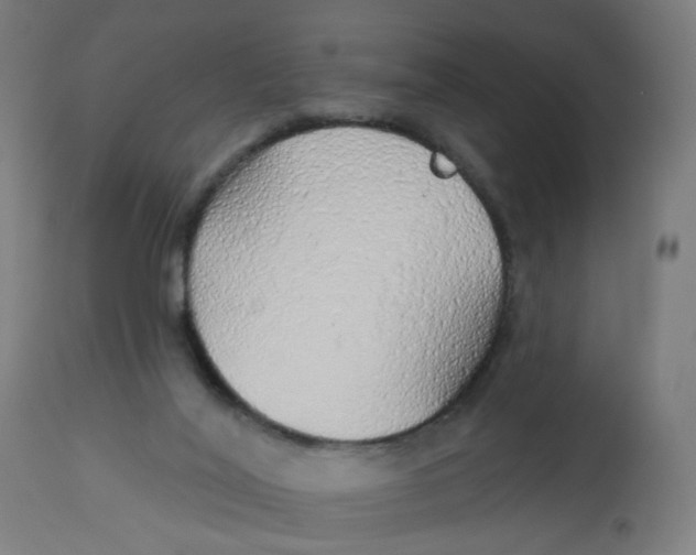 X0000112760020200909171300