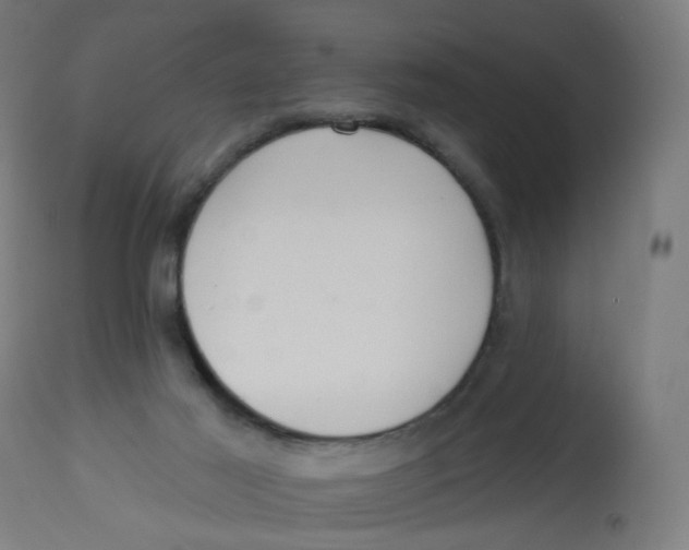 X0000112760021200909171300