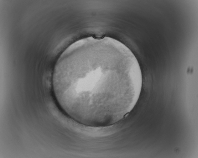 X0000112760023200909171300
