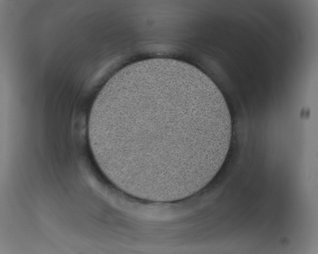 X0000112760024200909171300