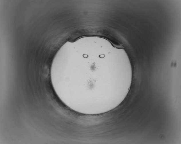 X0000112760025200909171300