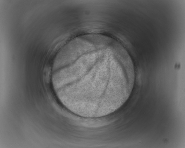 X0000112760026200909171300
