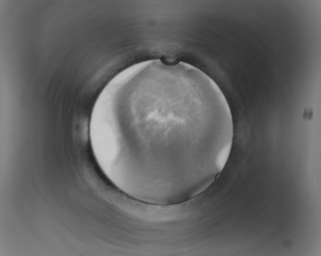 X0000112760027200909171300