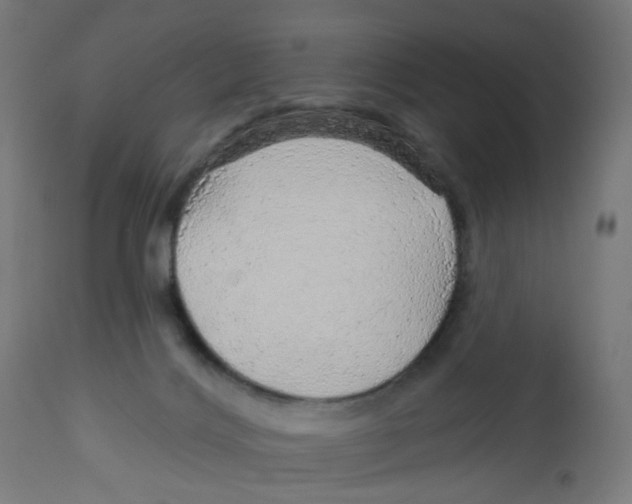 X0000112760028200909171300