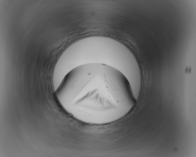 X0000112760029200909171300