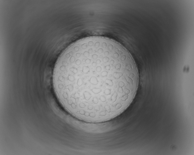 X0000112760030200909171300