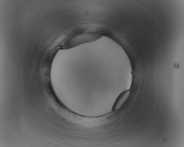 X0000112760031200909171300