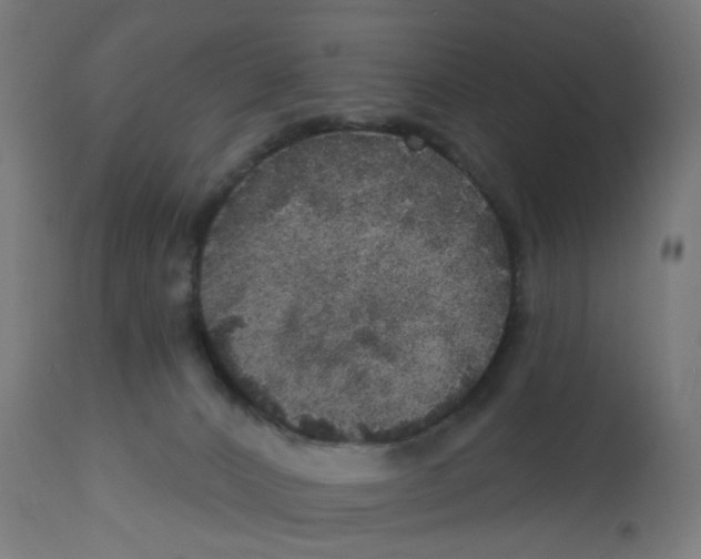 X0000112760032200909171300