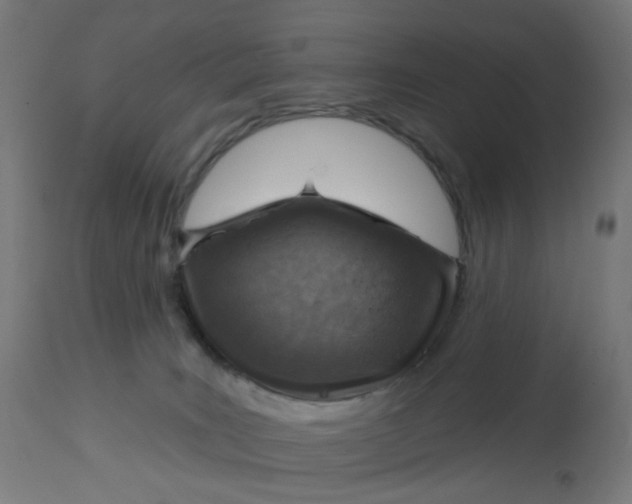 X0000112760035200909171300