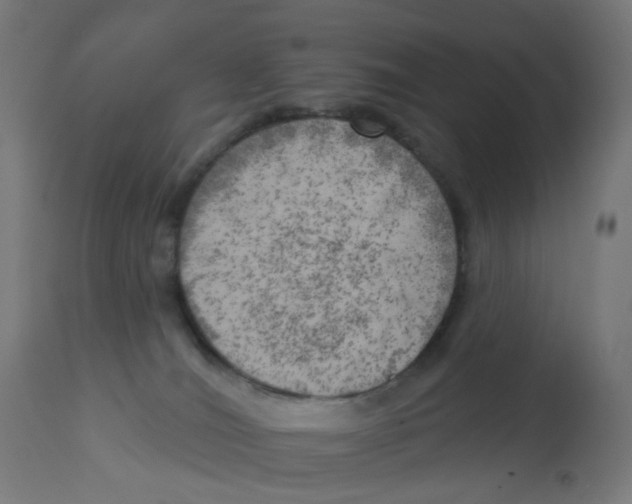X0000112760036200909171300