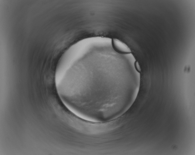 X0000112760039200909171300