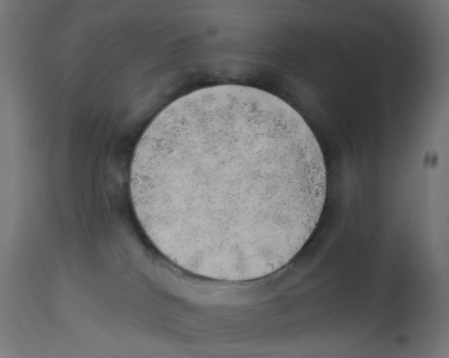 X0000112760040200909171300
