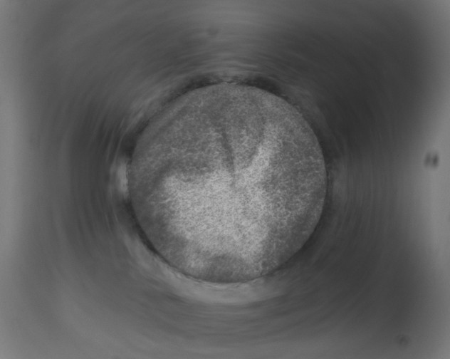 X0000112760042200909171300