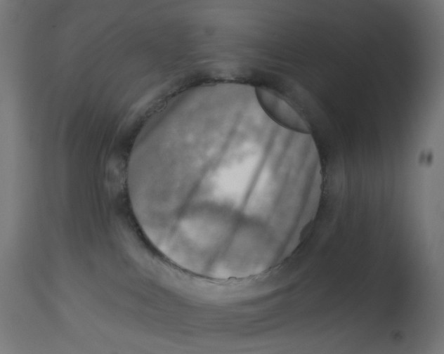 X0000112760043200909171300