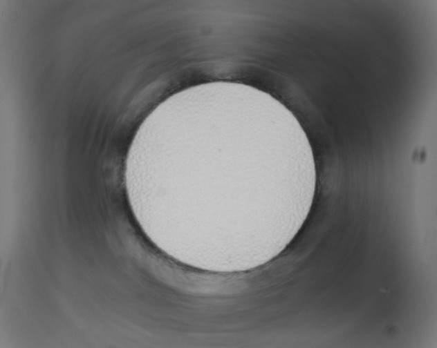 X0000112760044200909171300