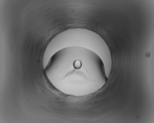 X0000112760045200909171300