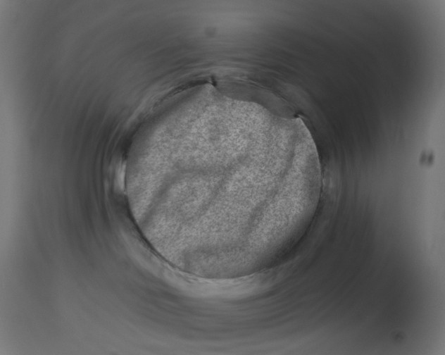 X0000112760046200909171300