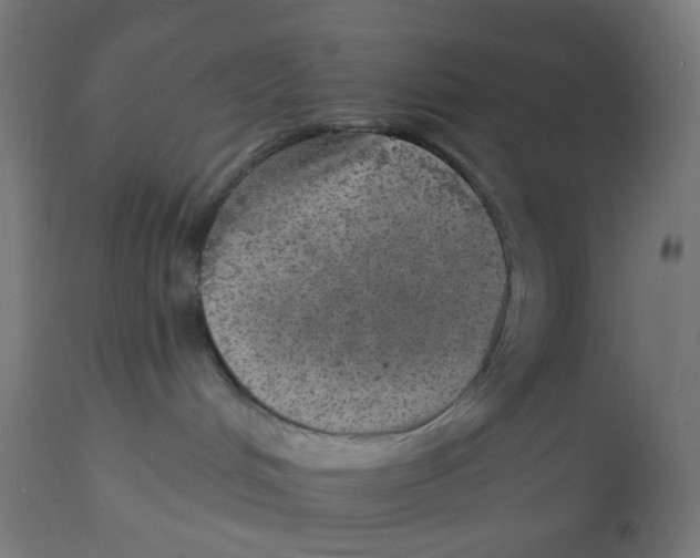 X0000112760048200909171300