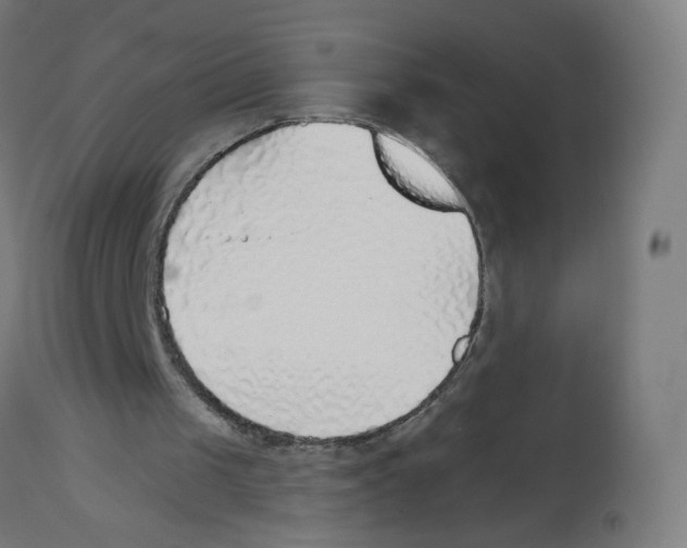 X0000112760049200909171259