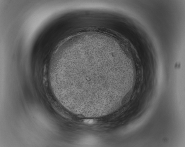 X0000112760050200909171259