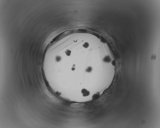 X0000112760051200909171259
