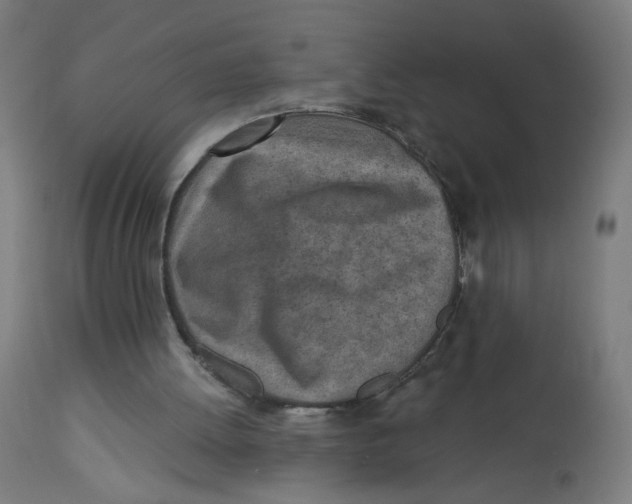 X0000112760052200909171259
