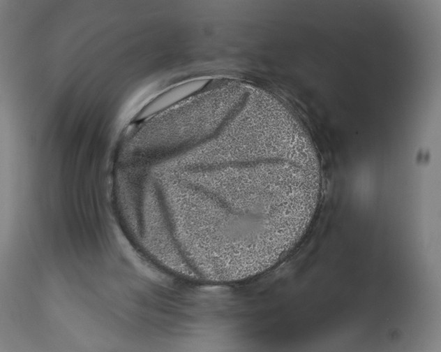 X0000112760053200909171259