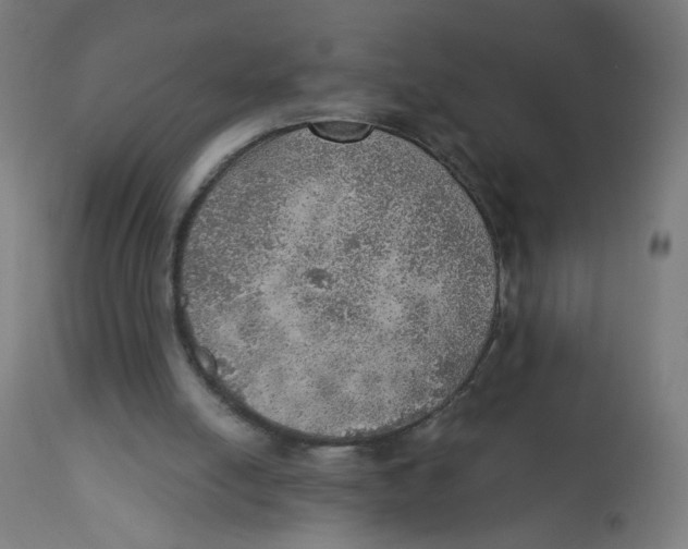 X0000112760054200909171259