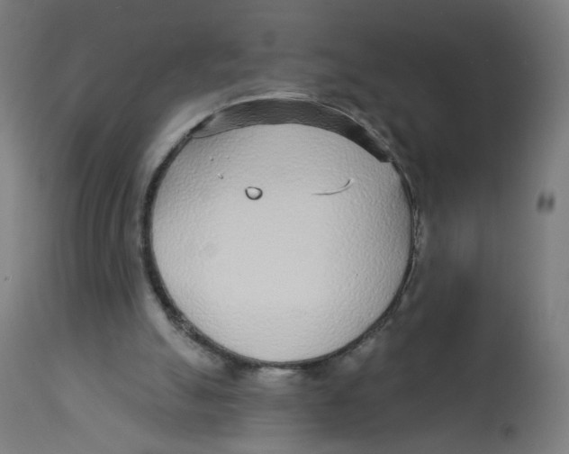 X0000112760055200909171259