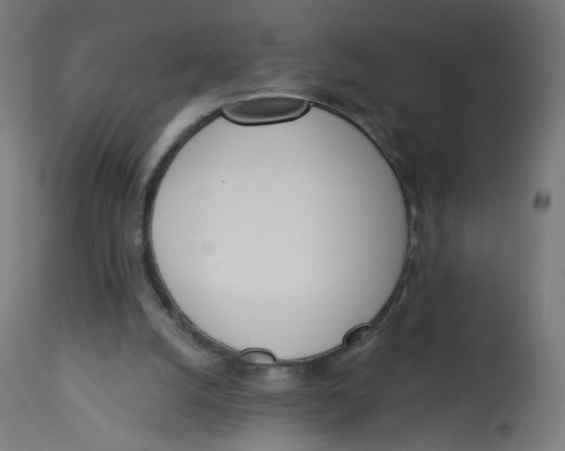 X0000112760056200909171259