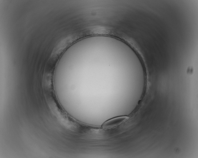 X0000112760057200909171259