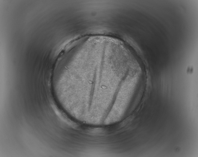 X0000112760058200909171259
