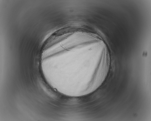 X0000112760059200909171259