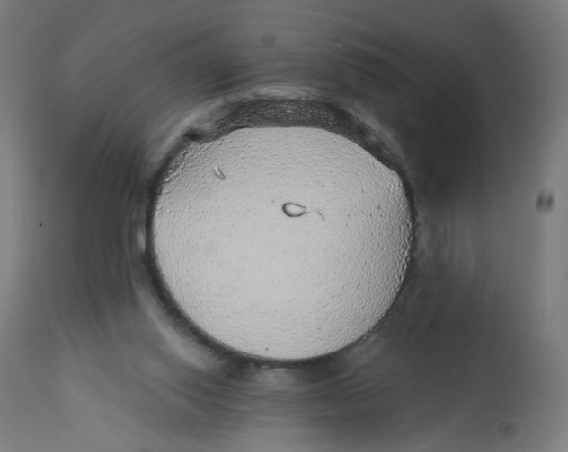 X0000112760062200909171259