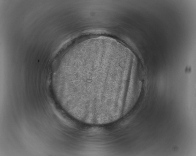 X0000112760063200909171259