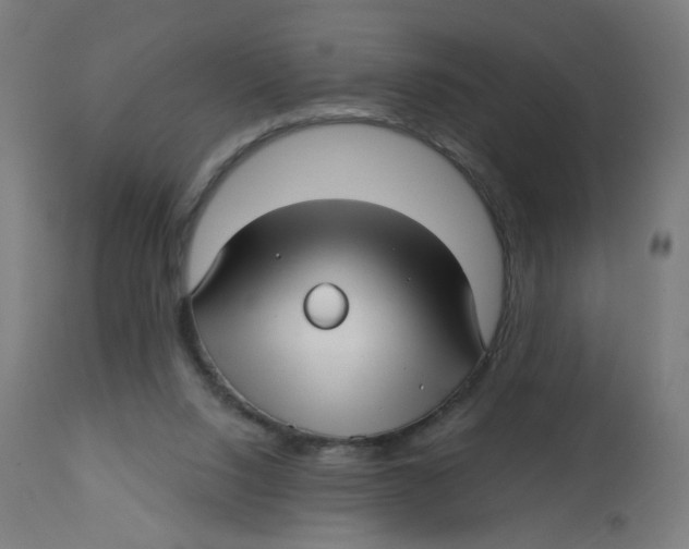 X0000112760064200909171259