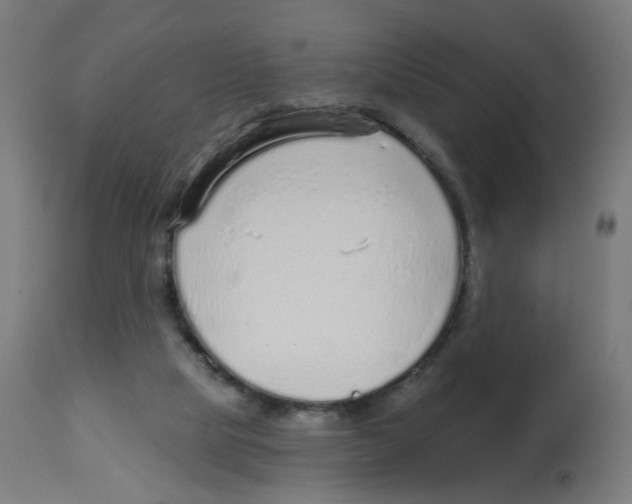 X0000112760065200909171259