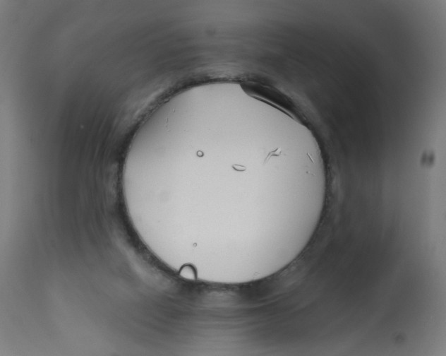 X0000112760066200909171259