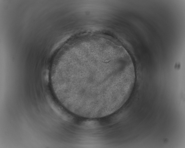 X0000112760067200909171259