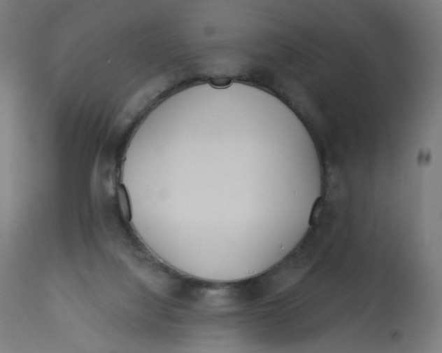 X0000112760068200909171259