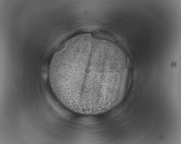 X0000112760069200909171259