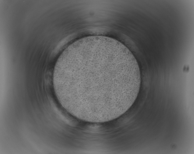 X0000112760071200909171259
