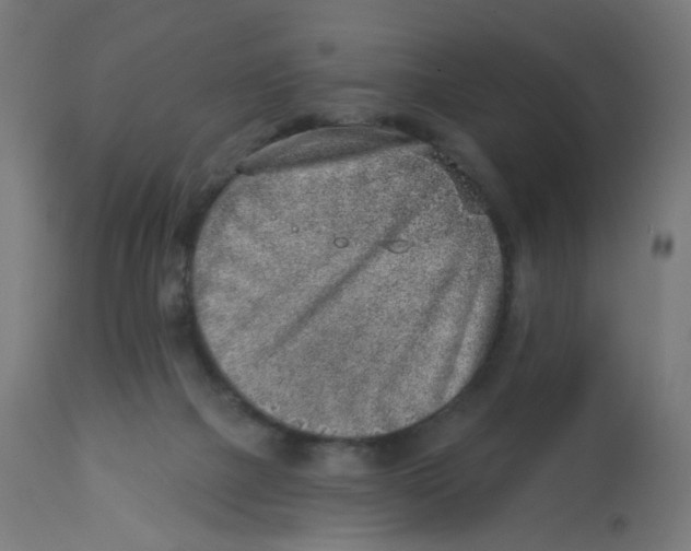 X0000112760073200909171259