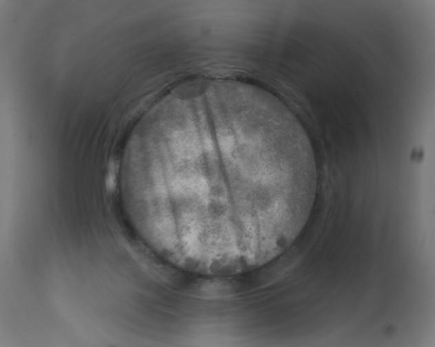 X0000112760075200909171259
