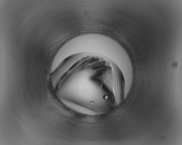 X0000112760076200909171259