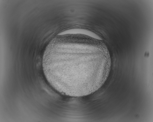 X0000112760077200909171259