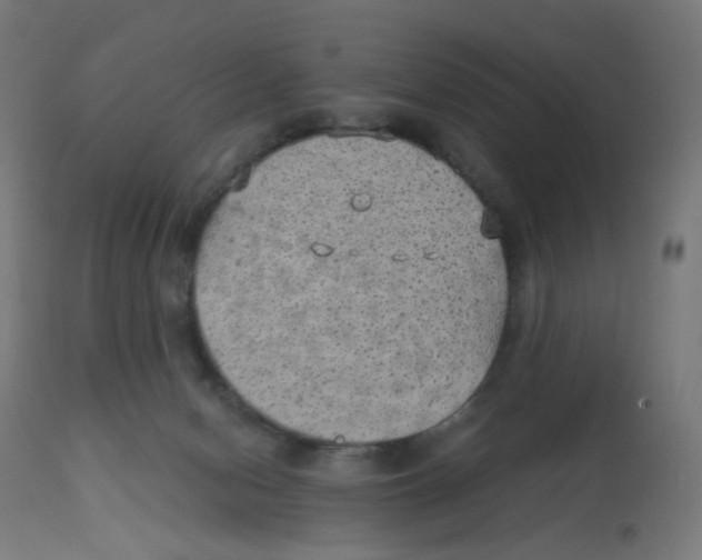 X0000112760078200909171259