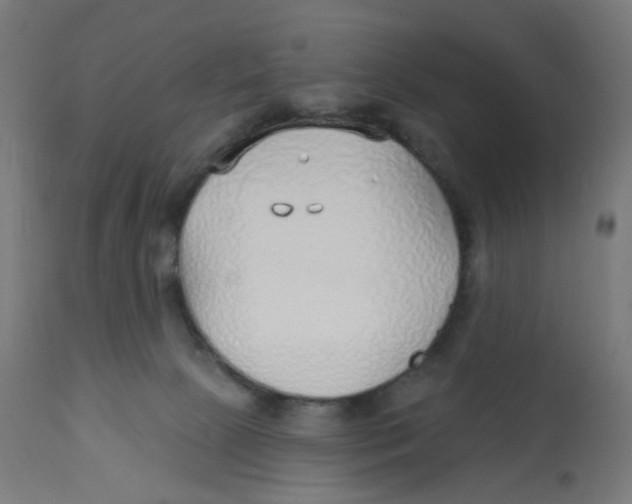 X0000112760081200909171300