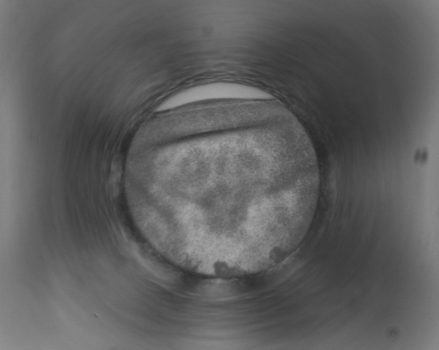 X0000112760082200909171300